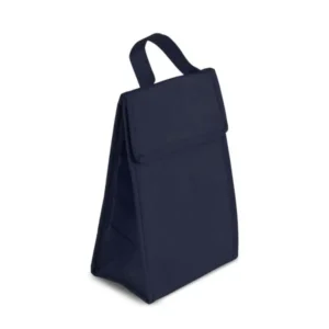 BOLSA TÉRMICA EM TNT 80G/M² - 27X17X10,5 CM