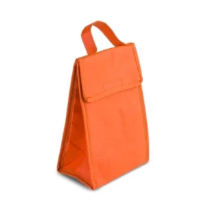 BOLSA TÉRMICA EM TNT 80G/M² - 27X17X10,5 CM